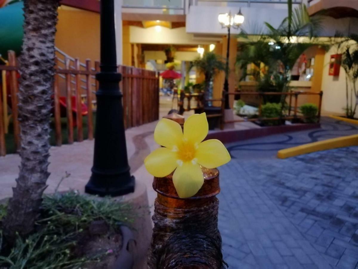 Marysol Las Palmas Rincon de Guayabitos Ngoại thất bức ảnh